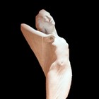 &nbsp;